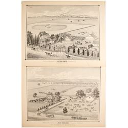 Thompson & West Lithographs  (82459)