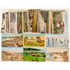 Image 1 : San Diego, CA Area Postcard Collection  (102364)