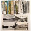 Image 1 : Shasta Lake, CA Area Postcards  (103204)