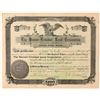 Image 1 : The Denver-Trinidad Land Corporation Stock Certificate   (91787)