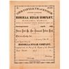 Image 1 : Honokaa Sugar Company Stock Certificate  (101562)