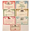 Image 1 : 7 Modern Hawaii Stock Certificates  (101539)