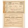 Image 1 : Two Hawaiian Sugar Mill Company Stock Certificates  (101559)