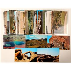 Assortment of Nevada Postcards  (91229)