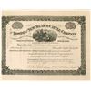 Image 1 : Boston and New Mexico Cattle Company Stock - with Fraudulent Surveyor General  (90553)