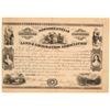 Image 1 : New York & Texas Land & Emigration Association Stock Certificate  (102167)