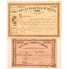 Image 1 : Two Texas Stock Certificates: Lumber and Flour Mill  (101563)