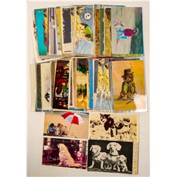 Dog Postcard Collection  (102697)