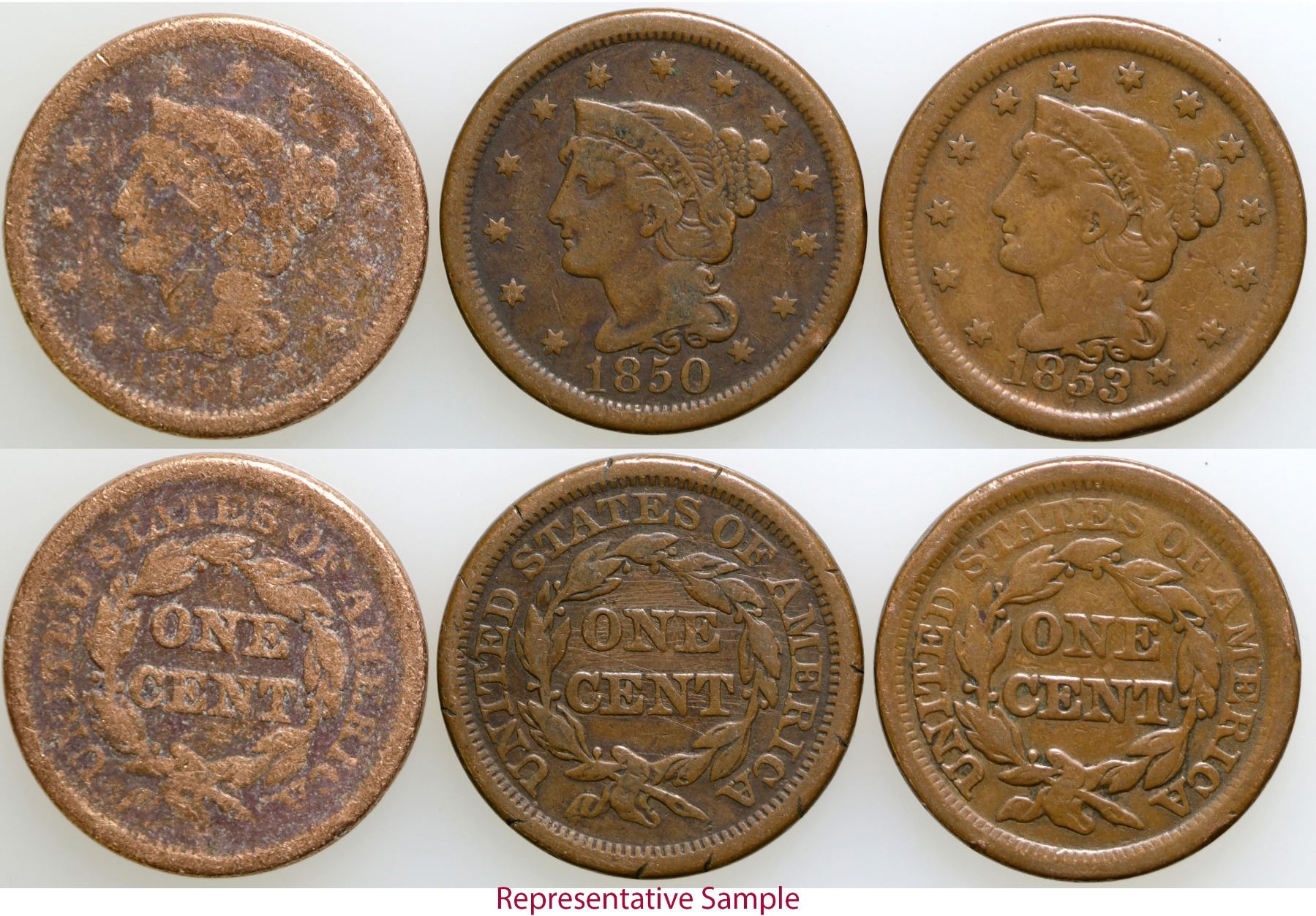 Large Cent Collection (103096)