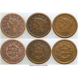 Large Cent Collection  (103096)