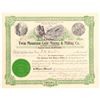 Image 1 : Twin Mountain Gold Mining & Milling Company Stock  (103565)