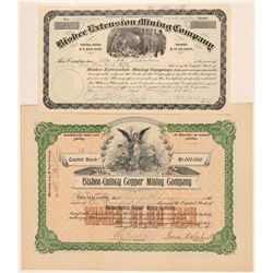 Two Bisbee Stocks  (91656)