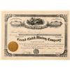 Image 1 : Grand Gulch Mining Company Stock Certificate  (100911)