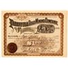 Image 1 : The Tarantula Gold Mining Co. Stock Certificate, Pinal County, AZ 1898  (59067)