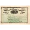Image 1 : Ferre Mining Company Stock Certificate  (59591)