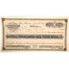 Image 1 : Hastings Consolidated Gold & Silver MIning Company Stock Certificate  (59480)