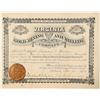 Image 1 : Virginia Gold Mining & Milling Co. Stock Certificate  (100913)