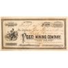Image 1 : Extra Rare Peer Mining Company Stock Certificate  (59474)