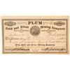 Image 1 : Plum Gold & Silver Mining Co. Stock Certificate  (100900)