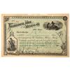 Image 1 : Tombstone Mill & Mining Co. Stock Certificate  (100884)