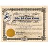 Image 1 : Bisbee Belle Copper Company  (91696)