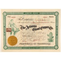 Arizona Giant Copper Mining Co. Stock  (91701)