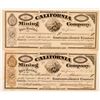 Image 1 : California Mining Company Stock Certificate  (100754)