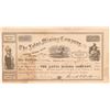 Image 1 : Lotus Mining Company Stock Certificate  (100847)