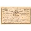 Image 1 : Montezuma Copper & Silver Mining Co. Stock Certificate  (101508)