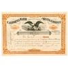 Image 1 : California Water & Mining Company Stock Certificate  (100741)