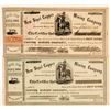 Image 1 : New Sigel Copper Mining Company Stock Certificate  (100766)