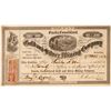 Image 1 : Eureka Consolidated Gold & Silver Mining Co. Stock Certificate  (101505)