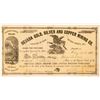 Image 1 : Nevada Gold, Silver and Copper Mining Co. Stock Certificate  (100764)