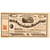 Image 1 : Washington Gold, Silver & Copper Mining Co. Stock Certificate  (100827)