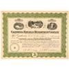 Image 1 : California-Hawaiian Development Co. Stock Certificate  (101545)