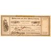 Image 1 : Medina Gold and Silver Mining Company Stock Certificate  (100986)