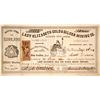 Image 1 : Lady Elizabeth Gold & Silver Mining Company Stock  (80335)