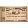Image 1 : Mountain Gold and Silver Mining Company No. 1 Stock  (80341)