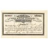 Image 1 : Willow Creek Gold Mining Co. Stock Certificate  (100890)