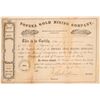 Image 1 : Topeka Gold Mining Company  (104730)