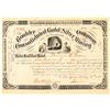 Image 1 : Boulder Consolidated Gold & Silver Mining Co. Stock Certificate  (91554)
