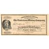 Image 1 : Louisiana Mining Company Stock Certificate  (91742)
