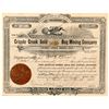 Image 1 : Cripple Creek Gold Bug Mining Company Stock Certificate  (91633)