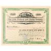 Image 1 : Little Pittsburg Gold Mining Co. Stock Certificate  (91561)