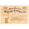 Image 1 : Pharmacist Mining Company  (104781)