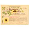 Image 1 : Sunflower Gold Mining Company  (104778)