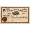 Image 1 : Custer County Consolidated Mining Company Stock Certificate  (100866)