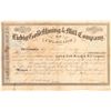 Image 1 : Liebig Gold Mining & Milling Co. of Colorado  (104702)