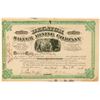 Image 1 : Decatur Silver Mining Company Stock Certificate  (100940)