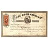 Image 1 : Hope Gold Company Stock Certificate  (91769)